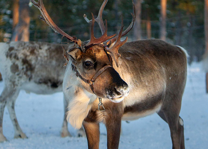 26 Cosas que la gente nunca pensó que tendría que explicarle a otro adulto
