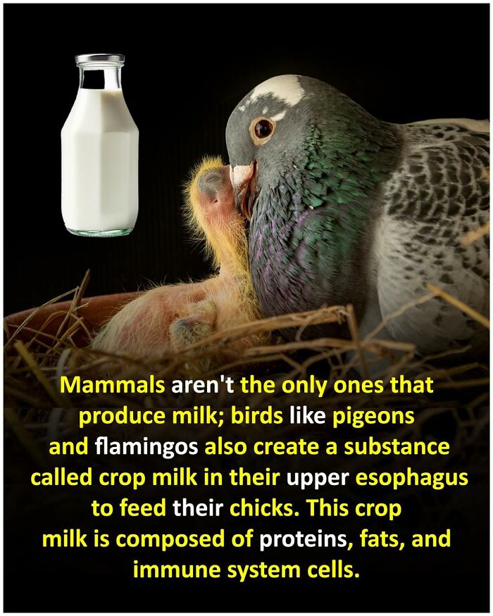 Unusual-Interesting-Facts