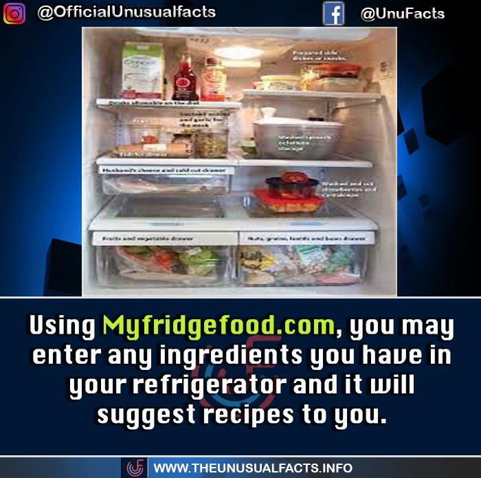 Unusual-Interesting-Facts