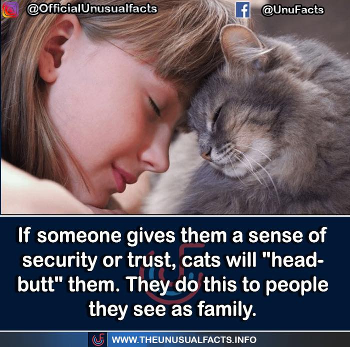 Unusual-Interesting-Facts