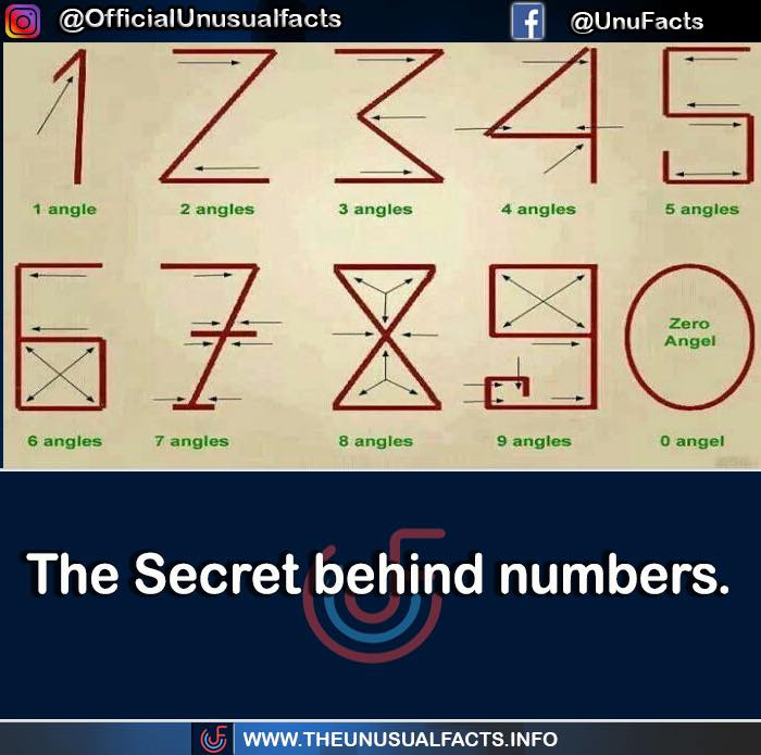 Unusual-Interesting-Facts