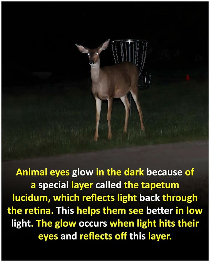 Unusual-Interesting-Facts