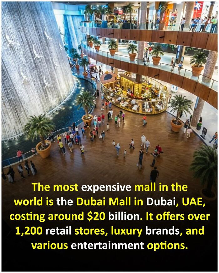 Unusual-Interesting-Facts