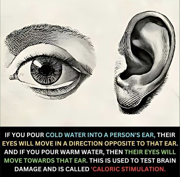 Unusual-Interesting-Facts