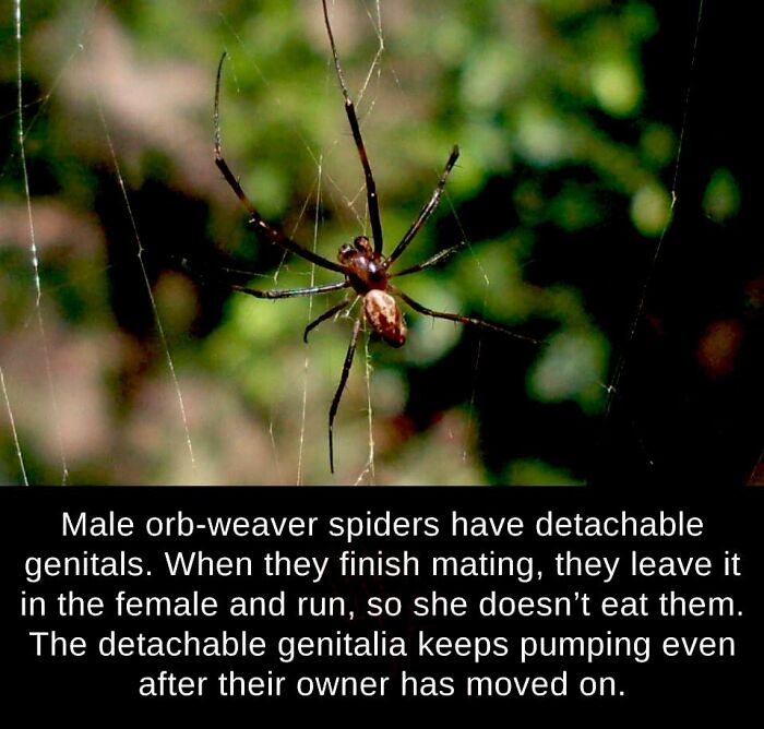 Unusual-Interesting-Facts