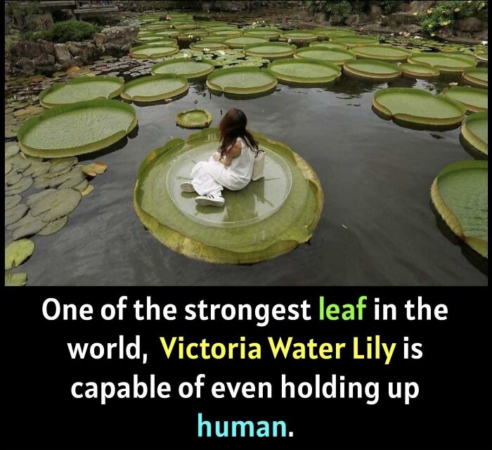 Unusual-Interesting-Facts