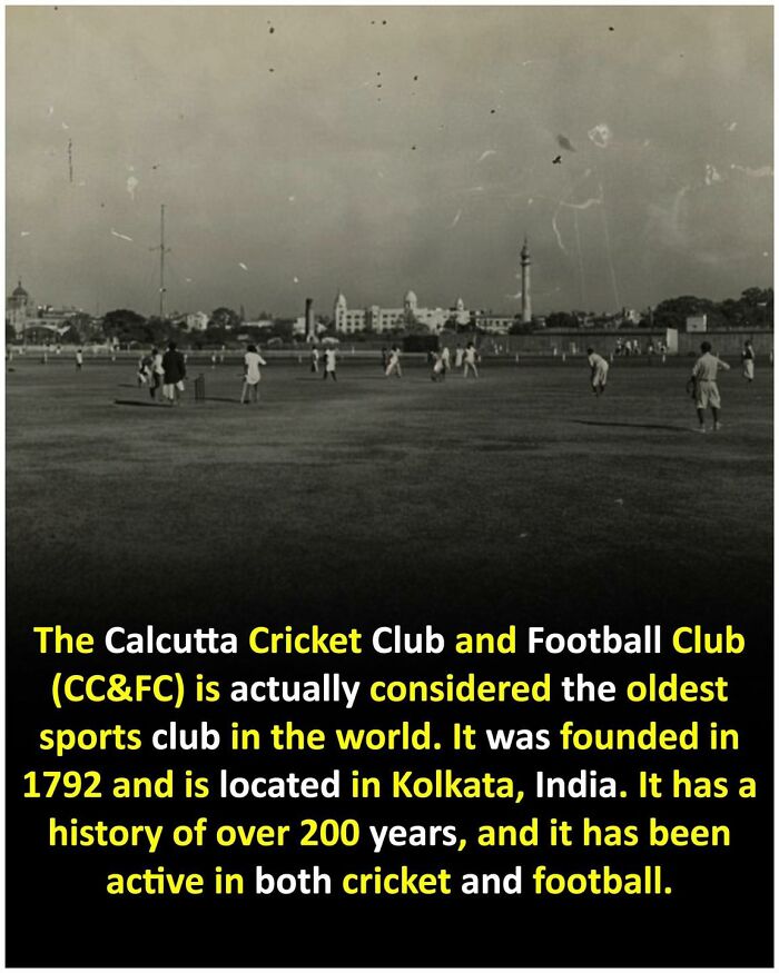 Unusual-Interesting-Facts