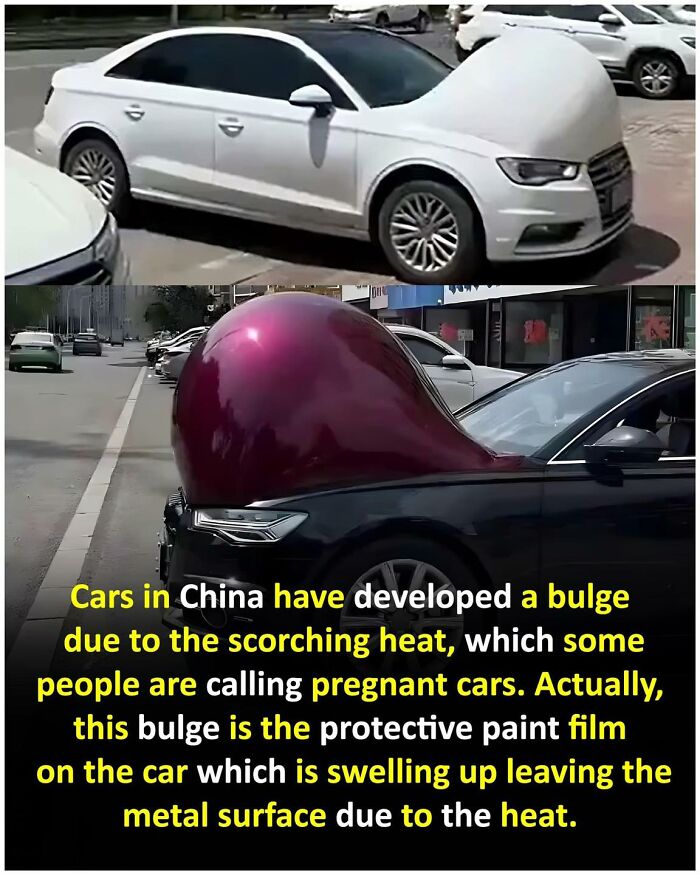 Unusual-Interesting-Facts