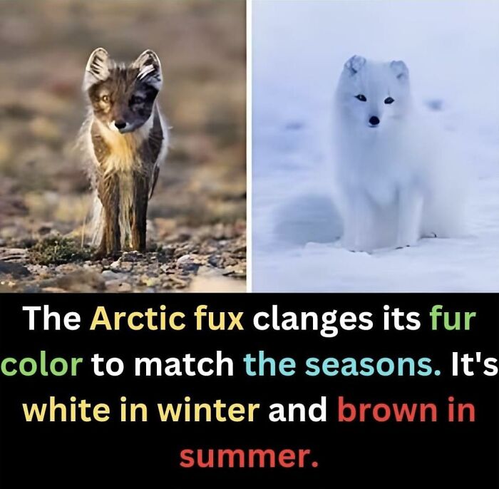 Unusual-Interesting-Facts