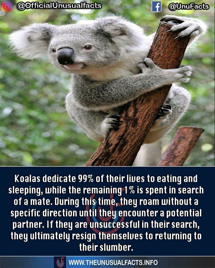 Unusual-Interesting-Facts