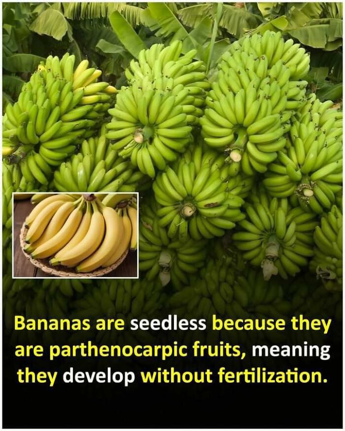 Unusual-Interesting-Facts