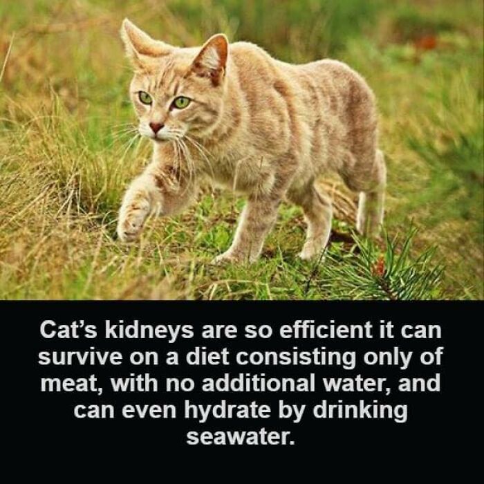 Unusual-Interesting-Facts