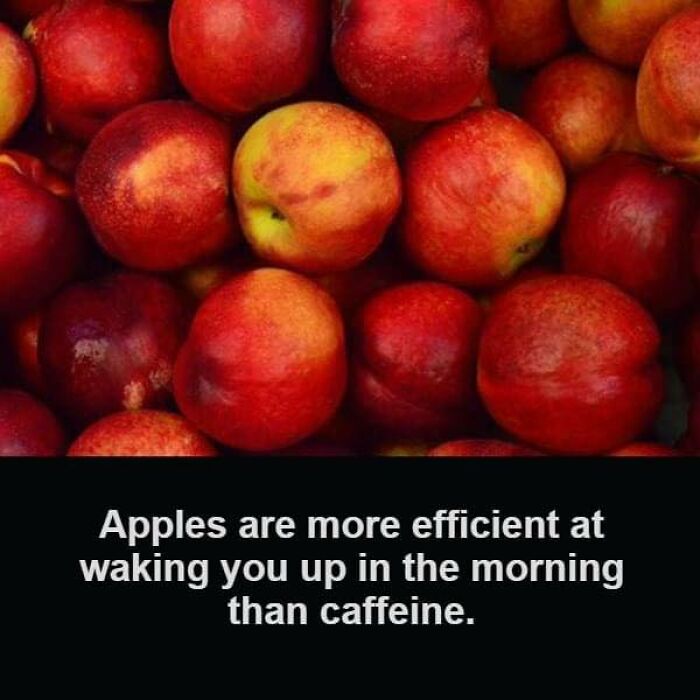 Unusual-Interesting-Facts