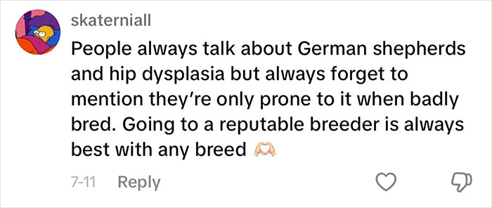 “This Will Be A Controversial One”: Vet Lists 5 Dog Breeds He Would Never Own “This Will Be A Controversial One”: Vet Lists 5 Dog Breeds He Would Never Own