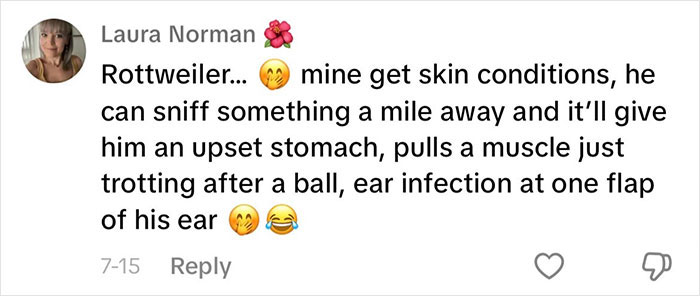 “This Will Be A Controversial One”: Vet Lists 5 Dog Breeds He Would Never Own “This Will Be A Controversial One”: Vet Lists 5 Dog Breeds He Would Never Own