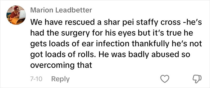 “This Will Be A Controversial One”: Vet Lists 5 Dog Breeds He Would Never Own “This Will Be A Controversial One”: Vet Lists 5 Dog Breeds He Would Never Own