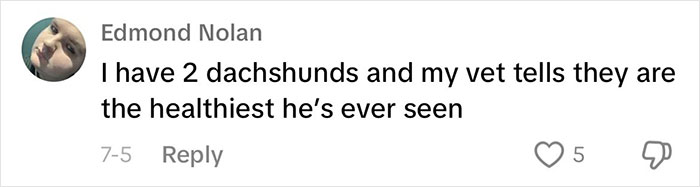 “This Will Be A Controversial One”: Vet Lists 5 Dog Breeds He Would Never Own “This Will Be A Controversial One”: Vet Lists 5 Dog Breeds He Would Never Own