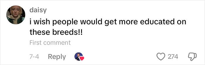 “This Will Be A Controversial One”: Vet Lists 5 Dog Breeds He Would Never Own “This Will Be A Controversial One”: Vet Lists 5 Dog Breeds He Would Never Own