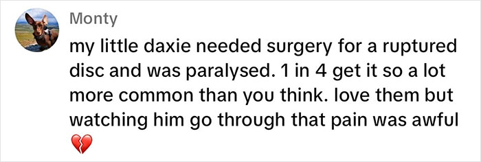 “This Will Be A Controversial One”: Vet Lists 5 Dog Breeds He Would Never Own “This Will Be A Controversial One”: Vet Lists 5 Dog Breeds He Would Never Own