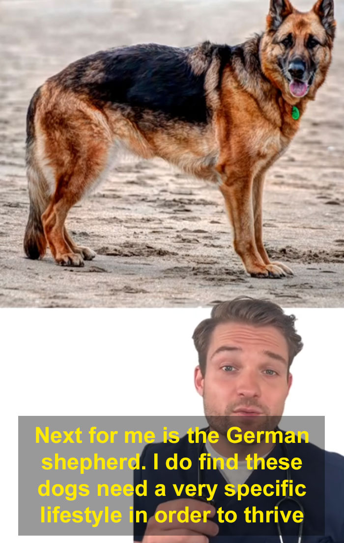 “This Will Be A Controversial One”: Vet Lists 5 Dog Breeds He Would Never Own “This Will Be A Controversial One”: Vet Lists 5 Dog Breeds He Would Never Own