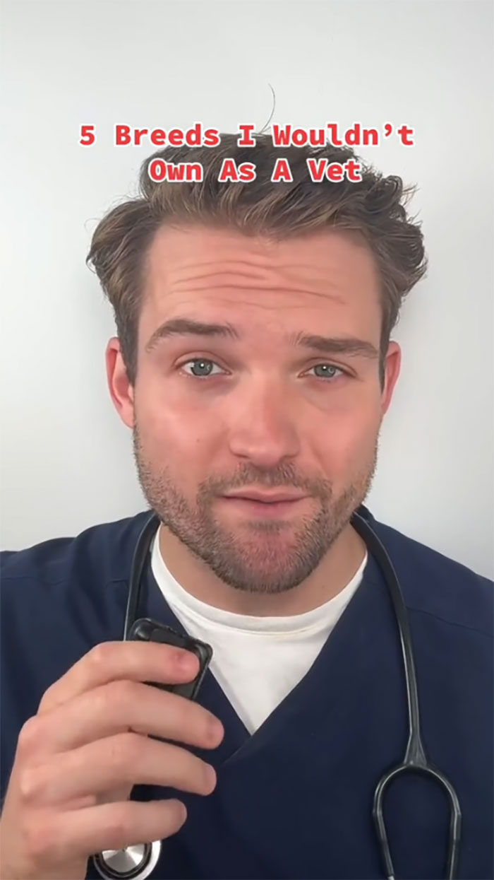 “This Will Be A Controversial One”: Vet Lists 5 Dog Breeds He Would Never Own “This Will Be A Controversial One”: Vet Lists 5 Dog Breeds He Would Never Own