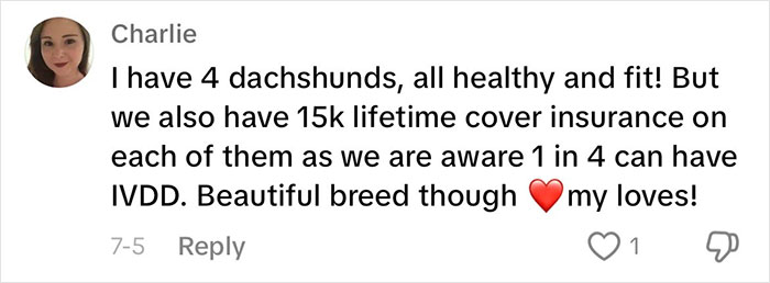 “This Will Be A Controversial One”: Vet Lists 5 Dog Breeds He Would Never Own “This Will Be A Controversial One”: Vet Lists 5 Dog Breeds He Would Never Own