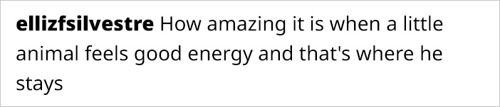 This Guy Saved A Baby Hummingbird And Soon Found Out She Wasn&rsquo;t Alone