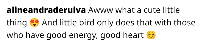 This Guy Saved A Baby Hummingbird And Soon Found Out She Wasn&rsquo;t Alone