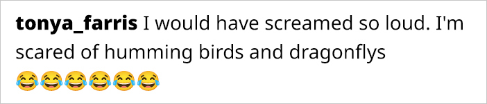 This Guy Saved A Baby Hummingbird And Soon Found Out She Wasn&rsquo;t Alone