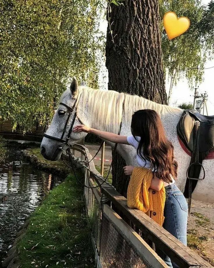 The Timeless Bond Between Horses And Humans.