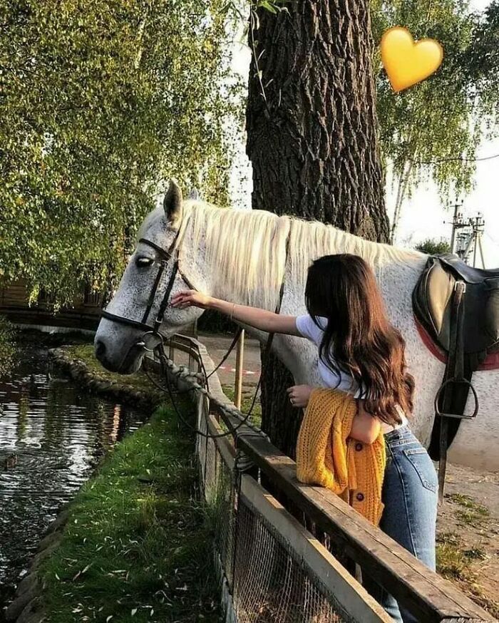 The Timeless Bond Between Horses And Humans.