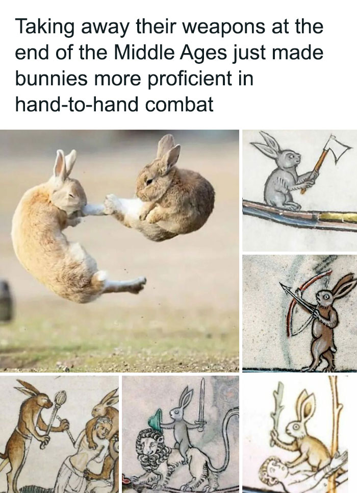 People Are Cracking Up At These 50 Medieval Memes Made By A History Professor