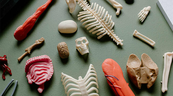 If You&rsquo;ve Taken Science Lessons Before, You Shouldn&rsquo;t Make More Than 3 Mistakes In This Trivia