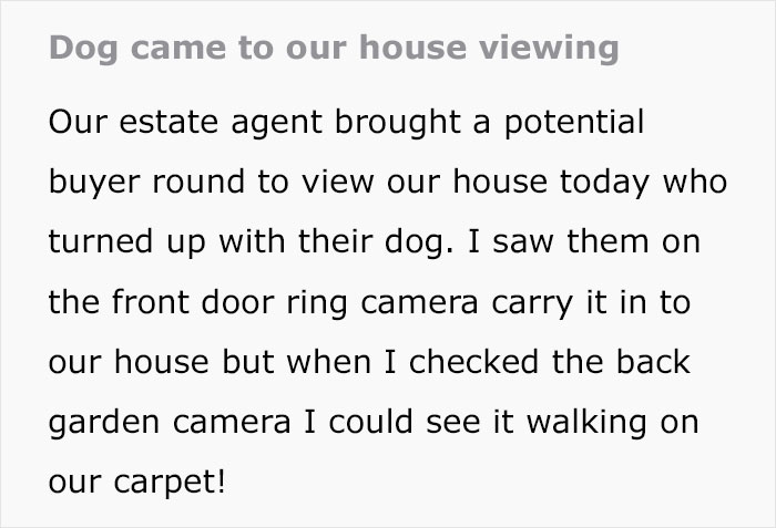 Estate Agent Allows Buyer’s Dog Into Family Home, Security Footage Exposes The Truth Estate Agent Allows Buyer’s Dog Into Family Home, Security Footage Exposes The Truth