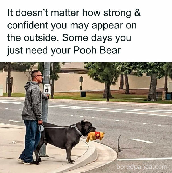 Dog owner standing with his dog holding a Pooh Bear toy, both looking confident yet relaxed.