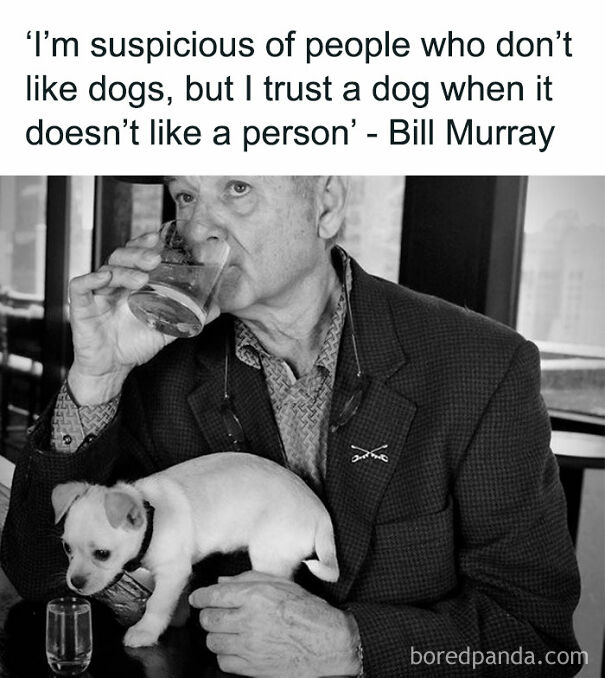 Man holding a drink with a small dog on his lap, featuring a humorous dog-related quote above.