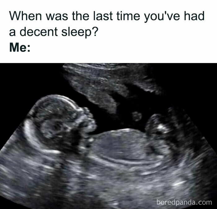 Funny-Random-Memes-Morememesdammit