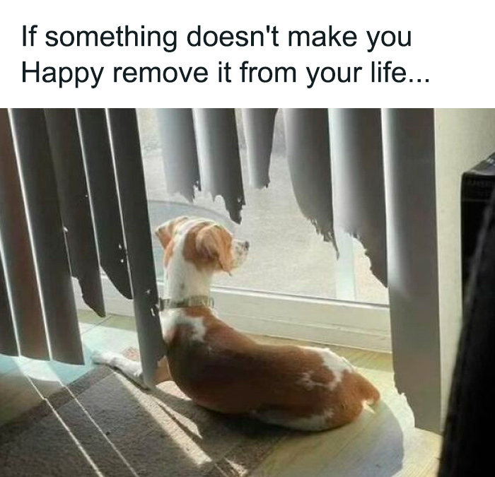 Funny-Random-Memes-Kraze