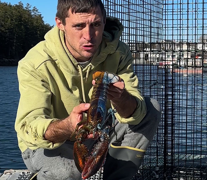 "Woke" And "Nonbinary" Half Male, Half Female Lobster Goes Viral Online