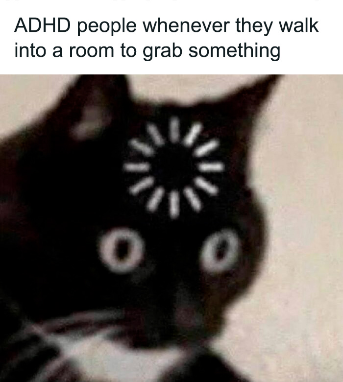 Confused cat with loading symbol on forehead, representing relatable ADHD meme humor.