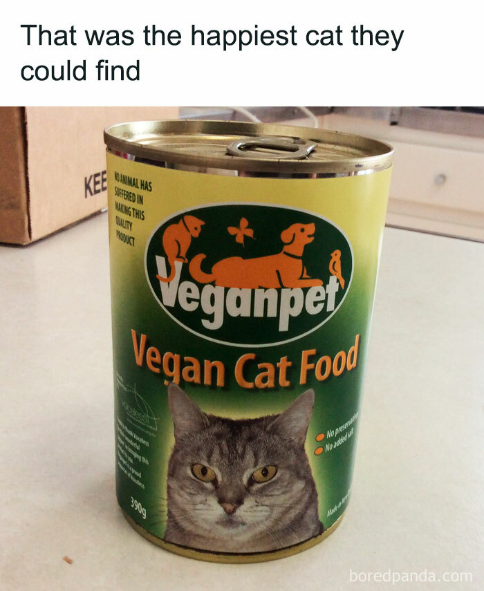 Funny-Chonky-Woofers-For-My-Depression-Memes