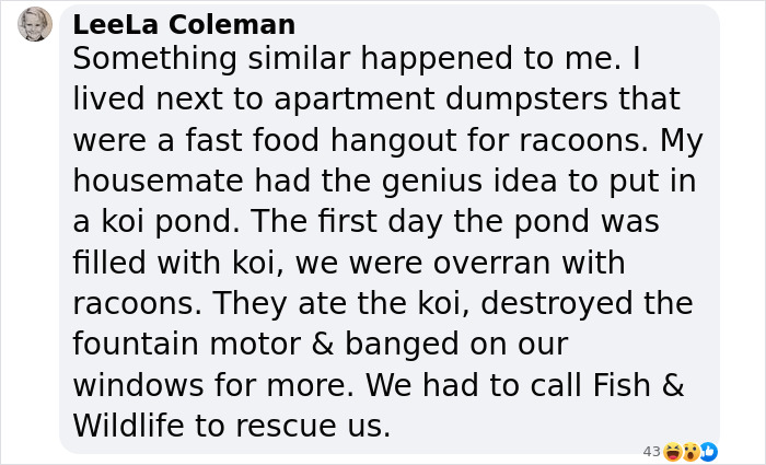 Wild Raccoons Who Were Being Fed By Woman For 35 Years Turn Aggressive, Get 911 Called On Them