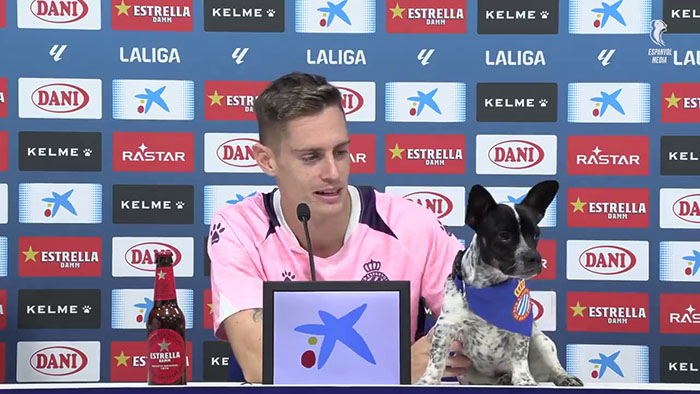 Abandoned Dogs Find Home After Football Team’s Awareness-Raising Action Before The Match Abandoned Dogs Find Home After Football Team’s Awareness-Raising Action Before The Match