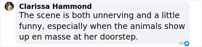 Wild Raccoons Who Were Being Fed By Woman For 35 Years Turn Aggressive, Get 911 Called On Them