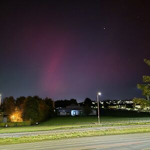 niamhgallagher avatar