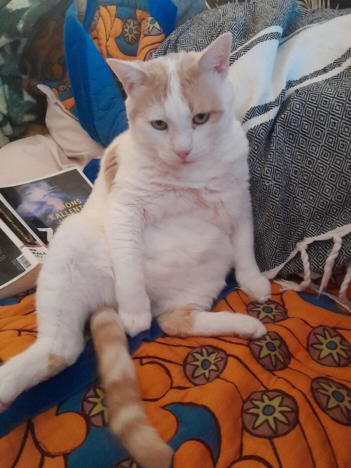 Gribouille , (After Springsteen) The Boss