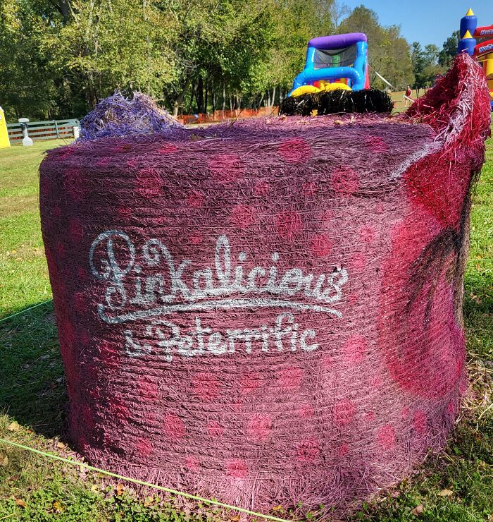 Pinkalicious And Peterrific