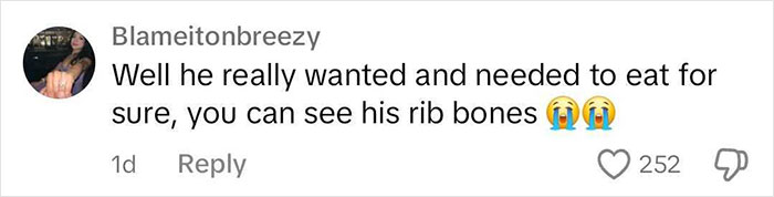 Dog Poops Out Rainbow Orbeez After He Apparently Mistook Them For A Good Snack