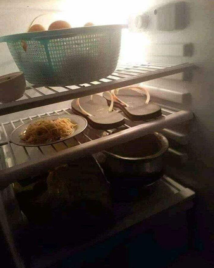 Funny-Random-No-Context-Pics