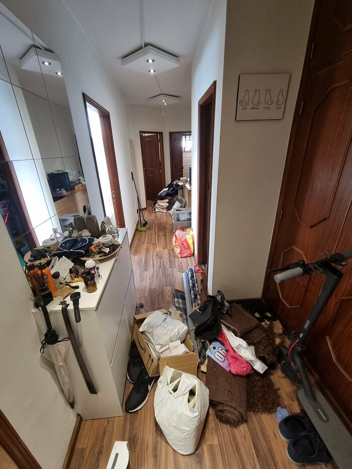 Cute-There-Is-No-Cat-Images